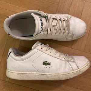 Vita sneakers från Lacoste - Säljer ett par vita Lacoste sneakers med klassisk design och krokodillogga på sidan. Skorna har snörning och är tillverkade i syntetmaterial. Perfekta för en stilren look.