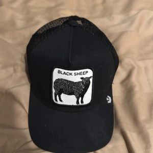 Svart keps med Black Sheep-märke - Snygg svart keps med ett coolt 'Black Sheep'-märke framtill. Kepsen har ett nätmaterial på baksidan för bättre ventilation och en justerbar rem för perfekt passform. Perfekt för en avslappnad stil.