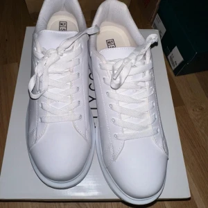 Skor - Helt nya,aldrig använda.