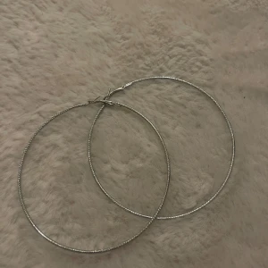 Örhängen  - Silverfärgad örhängen, priset går att diskutera 