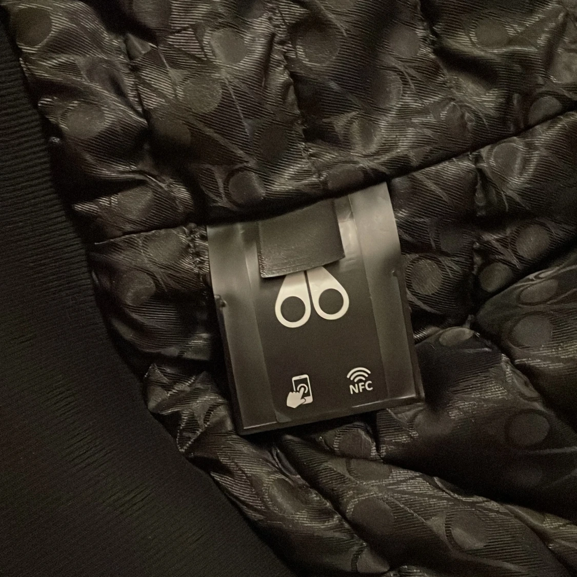 Moose knuckles bunny - 4