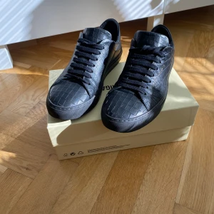 Axel Arigato Croc Embossed - Axel Arigato skor, storlek 41, fint skick. Skorna går inte att köpa hos Axel Arigato längre. 