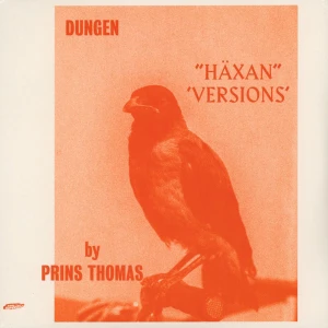 Dungen -  'Häxan' Versions by Prins Thomas 2LP, vinyl - Albumet 'Häxan' Versions av Dungen, remixat av Prins Thomas. 