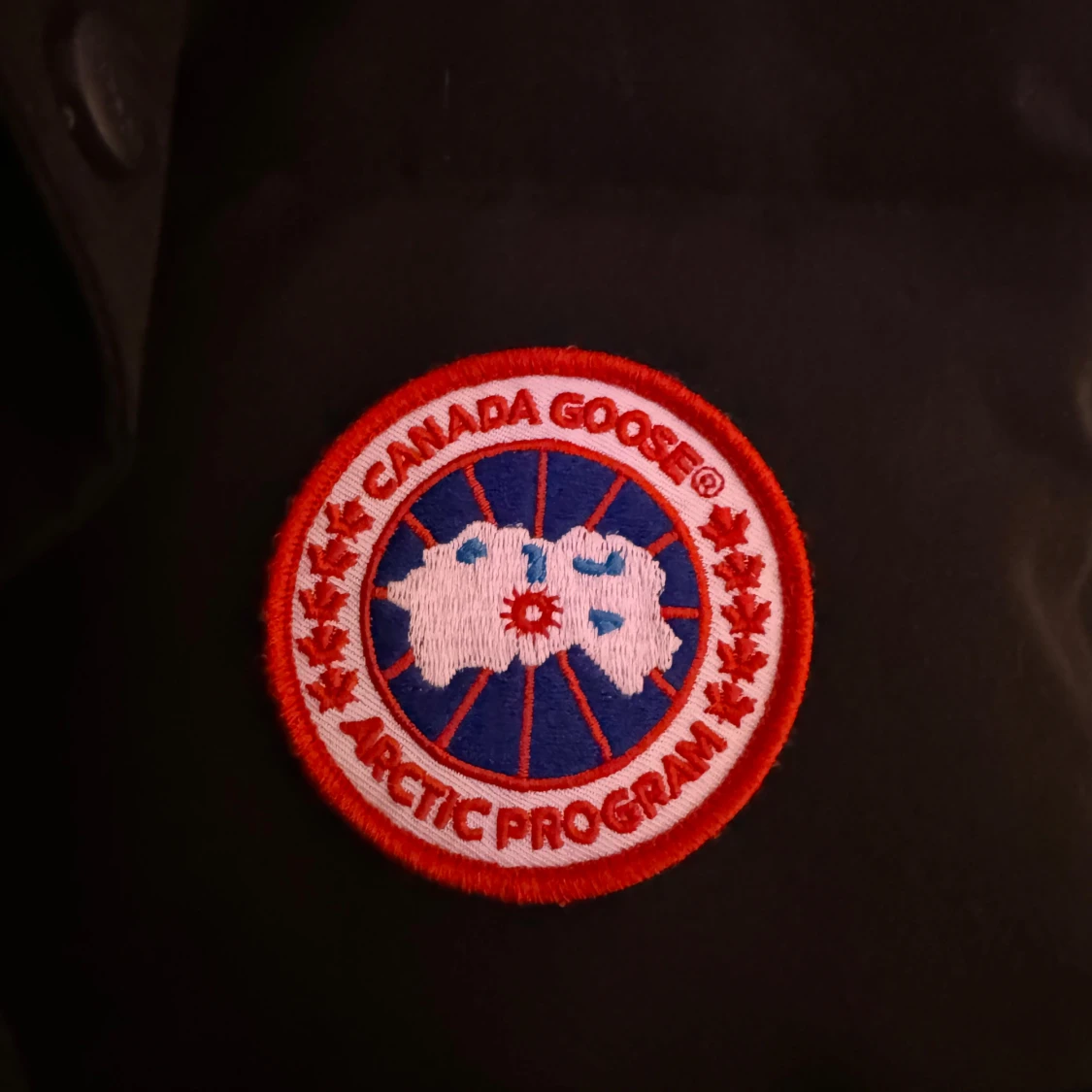 Canada goose vest - 90