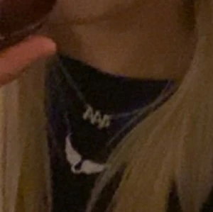 halsband - halsband med vingar 