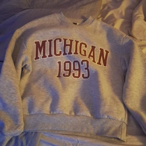 Grå sweatshirt från Gina Tricot - Säljer en grå tjocktröja med tryck. Den är köpt från Gina tricot i Xs. Nästan aldrig använd men ändå lite noppig, men inget man lägger märke till. Säljer pga aldrig kommer till användning