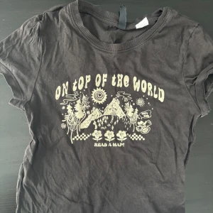 Grå t-shirt med tryck - Cool grå t-shirt med tryck 'On top of the world' och bergsmotiv. Perfekt för en avslappnad stil. Kortärmad och i mjukt material. PRIS KAN DISKUTERAS 