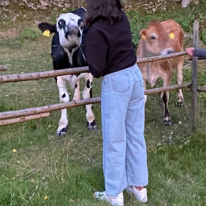 Ljusblå jeansbyxor  - Säljer ett par ljusblå jeansbyxor med hög midja och en avslappnad, rak passform från Monki. Byxorna har klassiska fem fickor och en dragkedja med knapp framtill. Perfekta för en casual look.