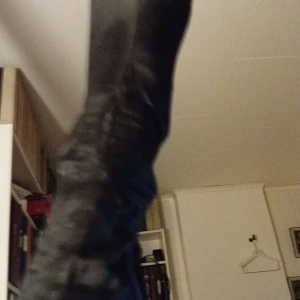 Svarta stövlar med dragkedja - Snygga svarta stövlar i skinn med dragkedja på sidan. Perfekta för en stilren look.