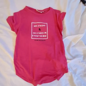 Rosa t-shirt från Red & Blue - Säljer en rosa t-shirt från Red & Blue med trycket 'All I want & all I need is everything' på framsidan. T-shirten har korta ärmar och en rund halsringning. Perfekt för en avslappnad stil.