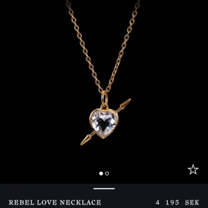 Rebel Love Necklace - Elegant halsband med en hjärtformad klar sten i mitten, omgiven av en guldfärgad ram. Halsbandet har en pil som går genom hjärtat, vilket ger en unik och rebellisk touch. Perfekt för att ge en stilfull och djärv look.