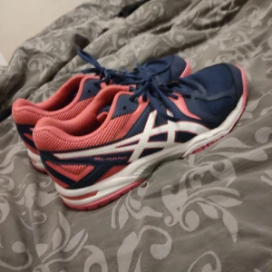 Idrotts skor - I nyskick, använda nån gång bara!  Storlek 39 