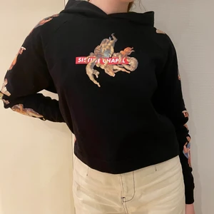 Croppad hoodie Zara - Croppad hoodie från Zara med ”Sistine Chapel”-tryck. Väl använd! Strl. S men passar även XS