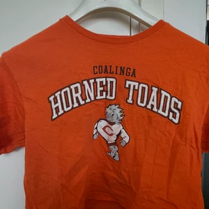 Tshirts  - Rensa min garderob och säljer dessa till shirts ihop eller separat, hör av er om ni är intresserade💐 