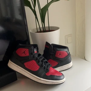 Nike Jorden Access - Säljer mina jordans som tyvärr är förstora för mig. Skorna har varit använda ett par gånger då och då och är i bra skick. Skorna kommer även att rengöras innan utskick😇 Skorna köptes för 1 250 kr, Tar emot bud från 400 kr. 