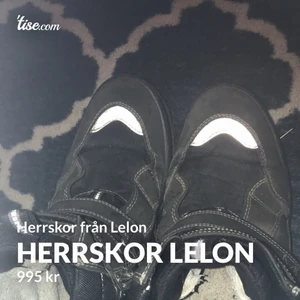 Herrskor Lejon - Ett par dagar sedan tänkte jag: näh, nu ska dessa förbaskade skor säljas