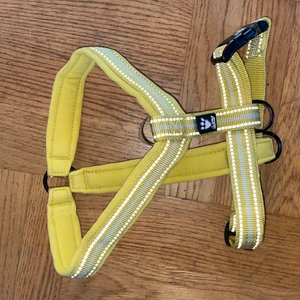 Hurtta y-sele - Hurtta y-sele i en gul färg som utgått. Storlek 60. Sparsamt använd och i jättefint skick!! Mindre tecken på användning, tex lite avskavd färg på spännet, men hel o ren! 