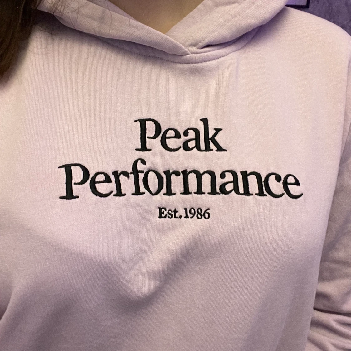 Peak Peformance Hoodie - 90