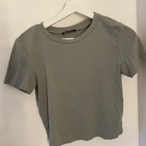 T-shirt från Zara - T-shirt från Zara i en lite croppad modell! 