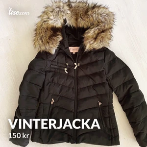 Vinterjacka - Snygg vinterjacka från Tessie, nypris 1000kr mitt pris 250kr men kan tänka mig att gå ner i pris om så önskas🥰
