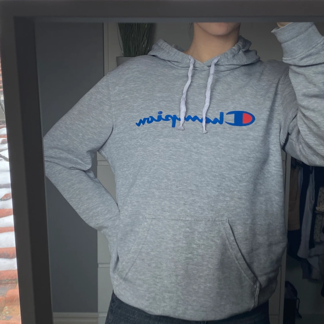 Hoodie från Champion