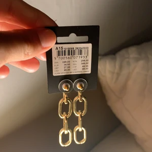 Pilgrim Örhängen - Ett par Pilgrim örhängen i Guld!(pläterade)  Köpta för 349kr. 