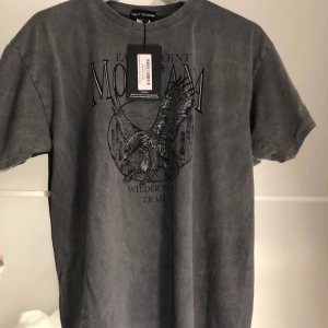 Oversized t-shirt - Helt oanvänd med lappen kvar. Väldigt snygg t-shirt i oversized modell från PLT men säljer för jag råka beställa fel storlek. Kan mötas upp i Malmö eller tillkommer frakt.  