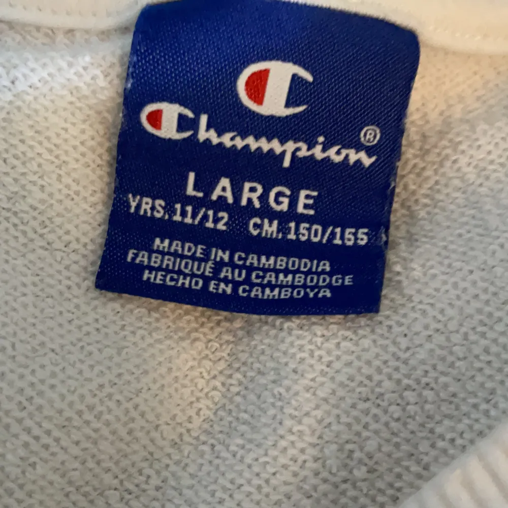Vit Champion tröja från kidsbrandstore i stl 11/12 år men skulle säga att den sitter som en XS säljer den för att det inte riktigt är min stil längre, den är i väldigt bra skick och  nästan oanvänd köpte den för 499kr. Tröjor & Koftor.