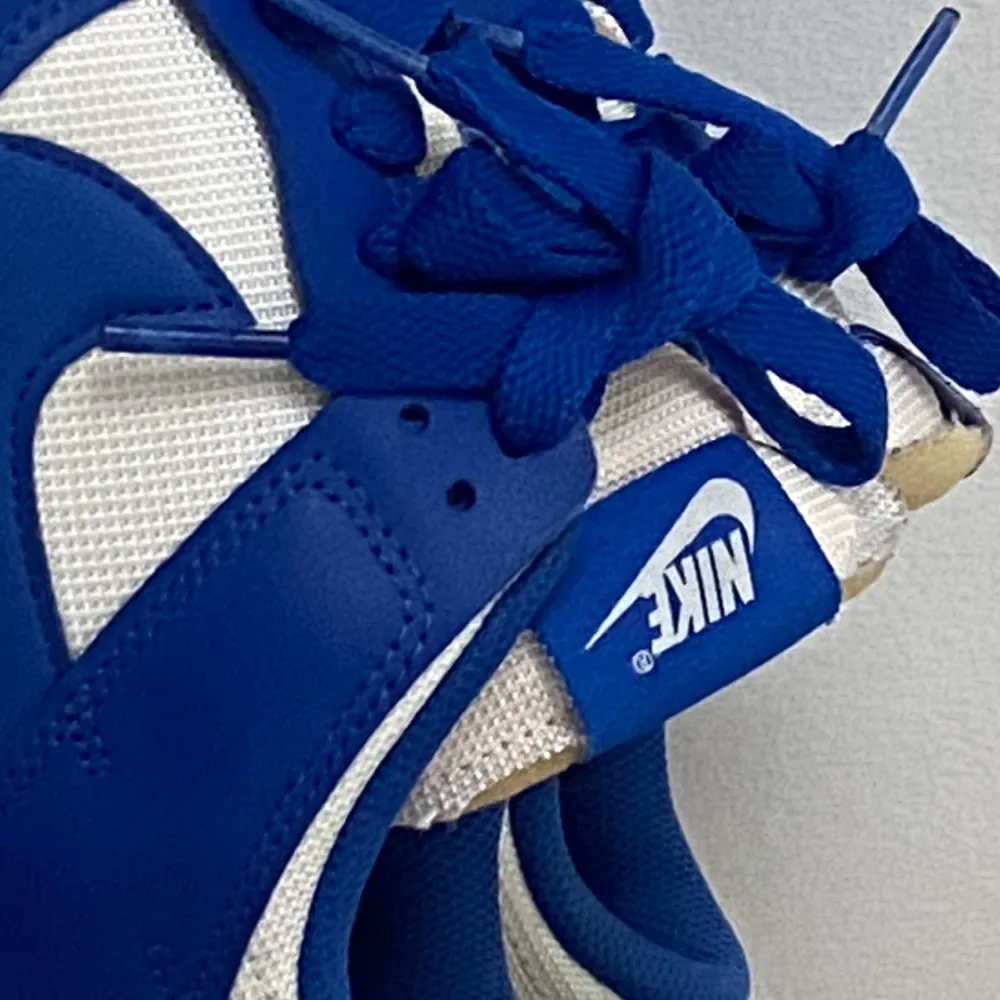 Nike Dunk Low Royal Blue - used 3 times . Skor.