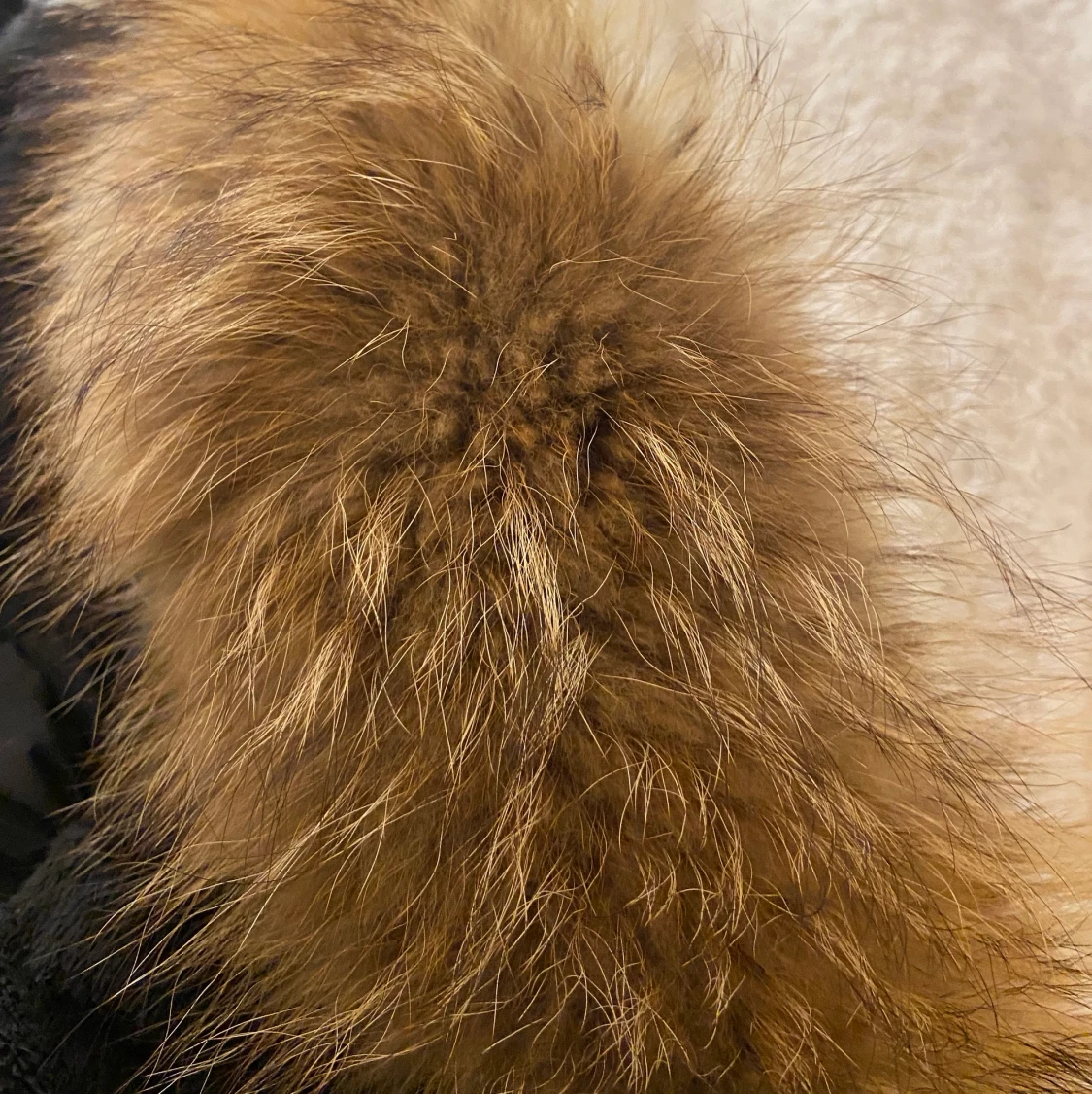 Hollies jacka med äkta päls - 91