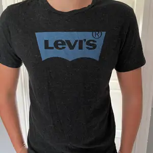 Säljer en grå Levis T-shirt i storlek M. Grå med blått tryck. Tröjan är i nyskick och knappt använd. Köparen står för frakt.