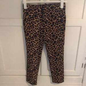 Kostymbyxor i leopardmönster från Zara i storlek 34. Lite noppriga men inget som syns när man har på sig dem. 
