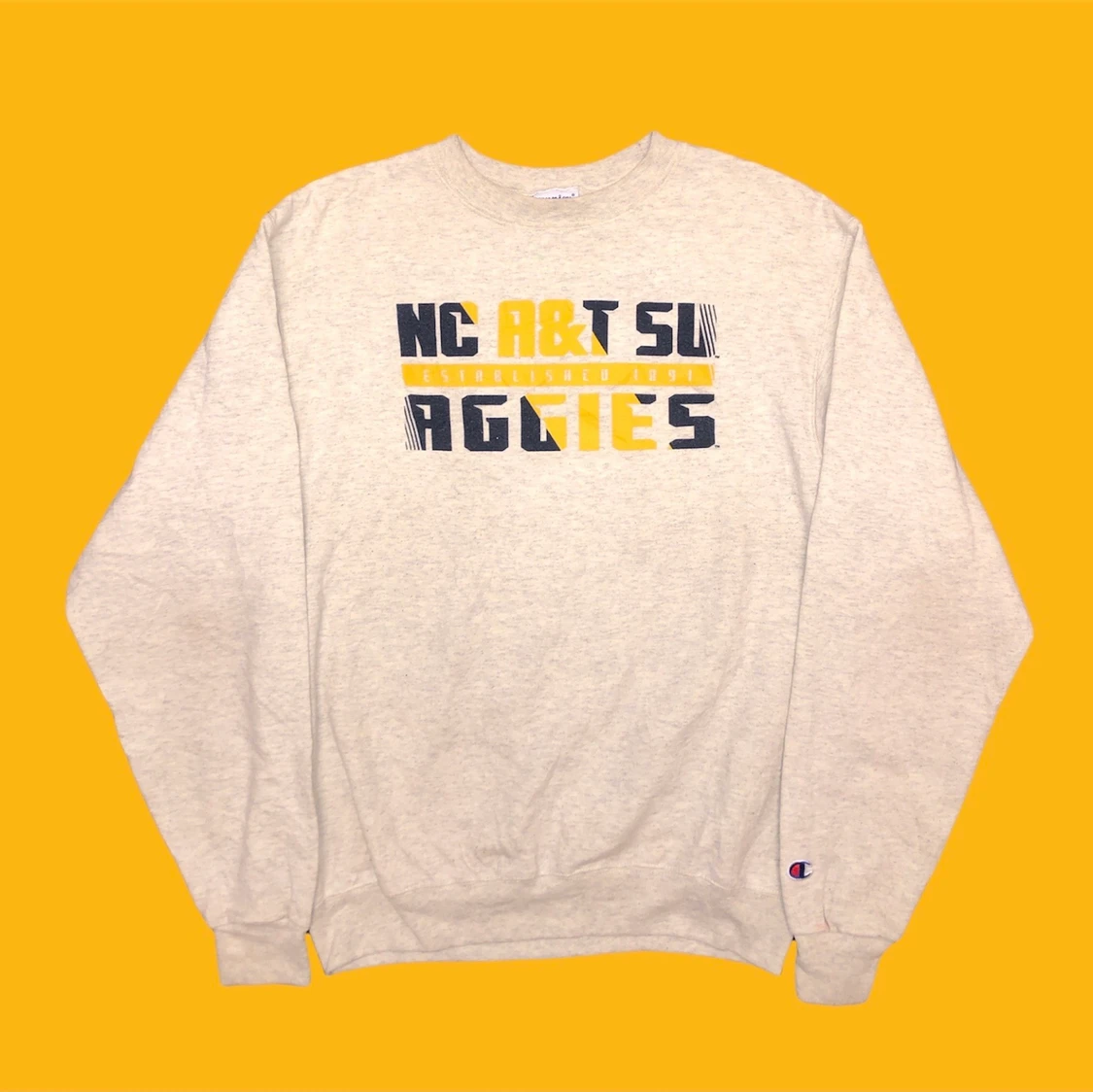 Champion Sweatshirt!! 🌱🌱