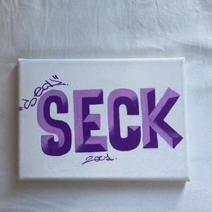 SECK ”BEVEL GRAFFITI” - - BUDGIVNING I DM -