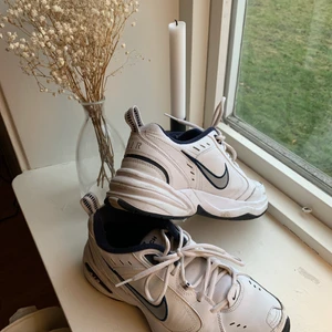 Nike sneakers - Använda men i fint skick. 
