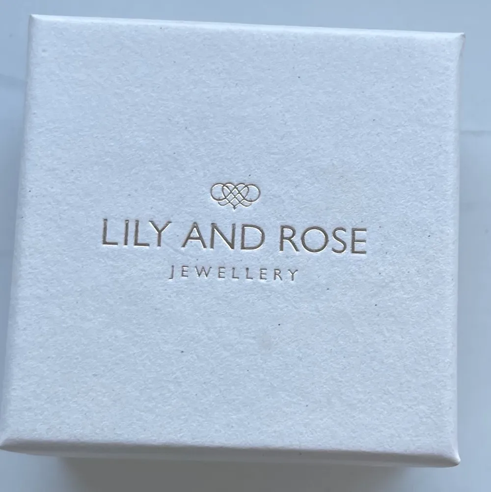 Helt oanvända Lily and Rose örhänge i modellen Petite Sofia Earrings i färgen still. Nypris: 349kr. Accessoarer.