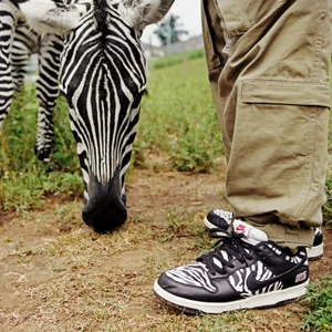 Nike SB Quartersnacks dunks - Storlek: 41