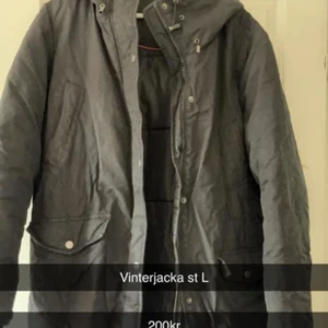 Vinterjacka  - Vinterjacka svart! I strl L använd men fin! 
