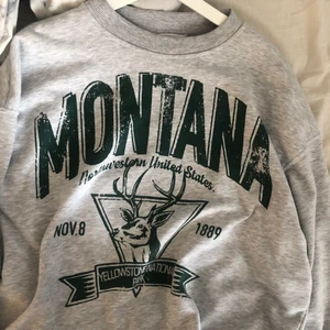 Sweatshirt - En grå superfin sweatshirt från Chiquelle! Köptes i April men kommer inte längre till användning 💘 hör gärna av er om ni har frågor eller vill ha fler bilder! Nypris: 400kr