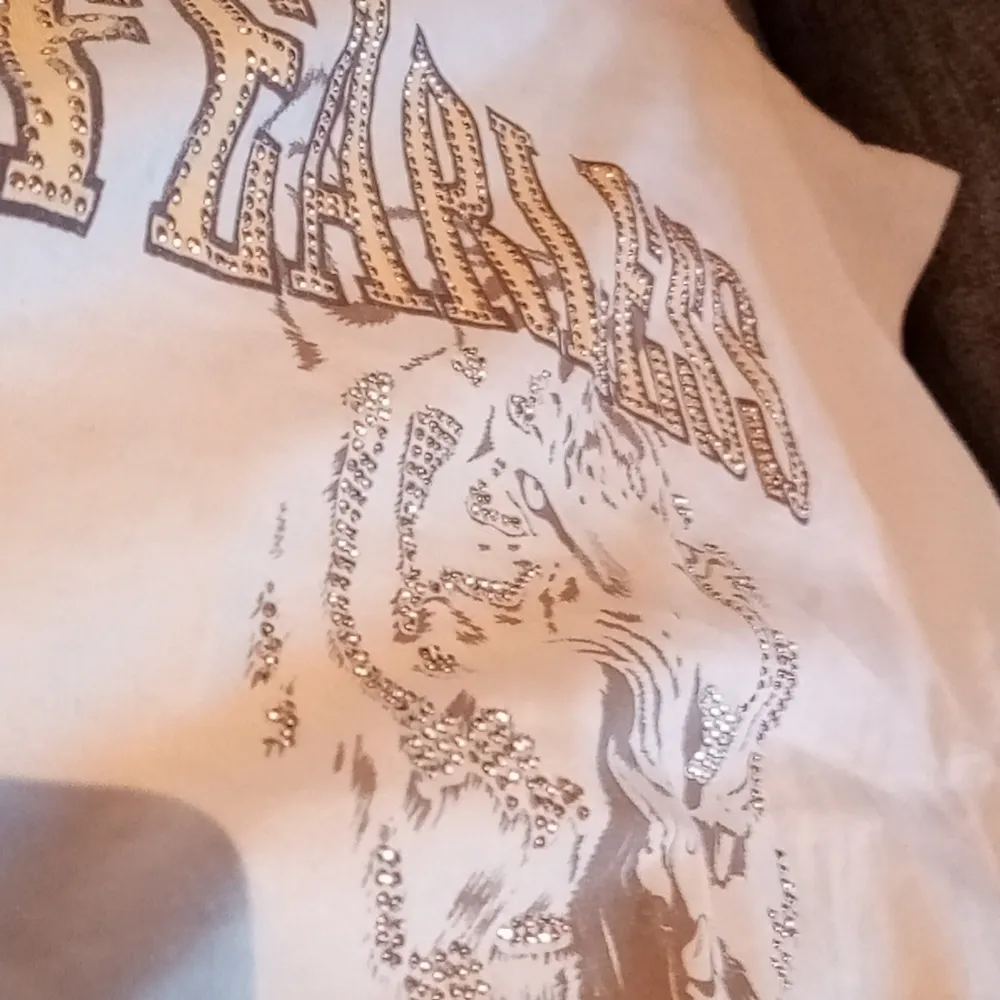 Vit tröja från Lindex och det står FEARLESS med ett lejon under texten. Använd inte så många gånger typ tre kanske men i väldigt bra sick.. Skjortor.