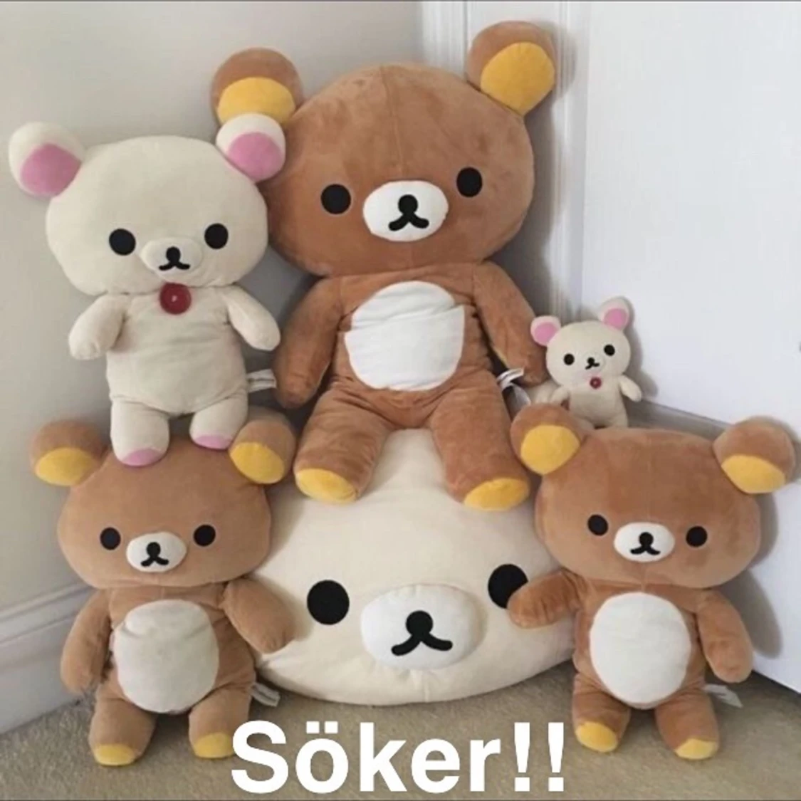 Söker Rilakkumas / korilakkumas