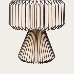 Lampskärm honey comb black and white  - Lånad bild. Lampakärm med tillköpt sladd och ljuskälla från Lagerhouse. Helt nyköpt