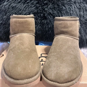 W classic mini ii ugg - Säljer nu de här gröna, klassiska UGGS i kortare modell, gjord i äkta skinn med värmande insida av ull. Skon är lätt vattenavstötande och har tjock sula som skyddar mot kalla underlag. Säljer den eftersom den har blivit för liten för mig men har inte hunnit använda den mer än 2 gånger, därför är den i helt nyskick. Det går dock inte att köpa den som ny igen eftersom den är helt slutsåld på alla hemsidor (Köpt för 2000 kr)… opps köparen står för frakten! 