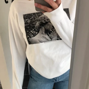 The Cool Elephant sweatshirt - En så cool sweatshirt från the cool elephant. Säljer då den inte kommit till användning mer än 1-2 gånger. Den är i storlek S och jag säljer för 175kr + frakt❣️ sista bilden är från the cool elephants instagram!