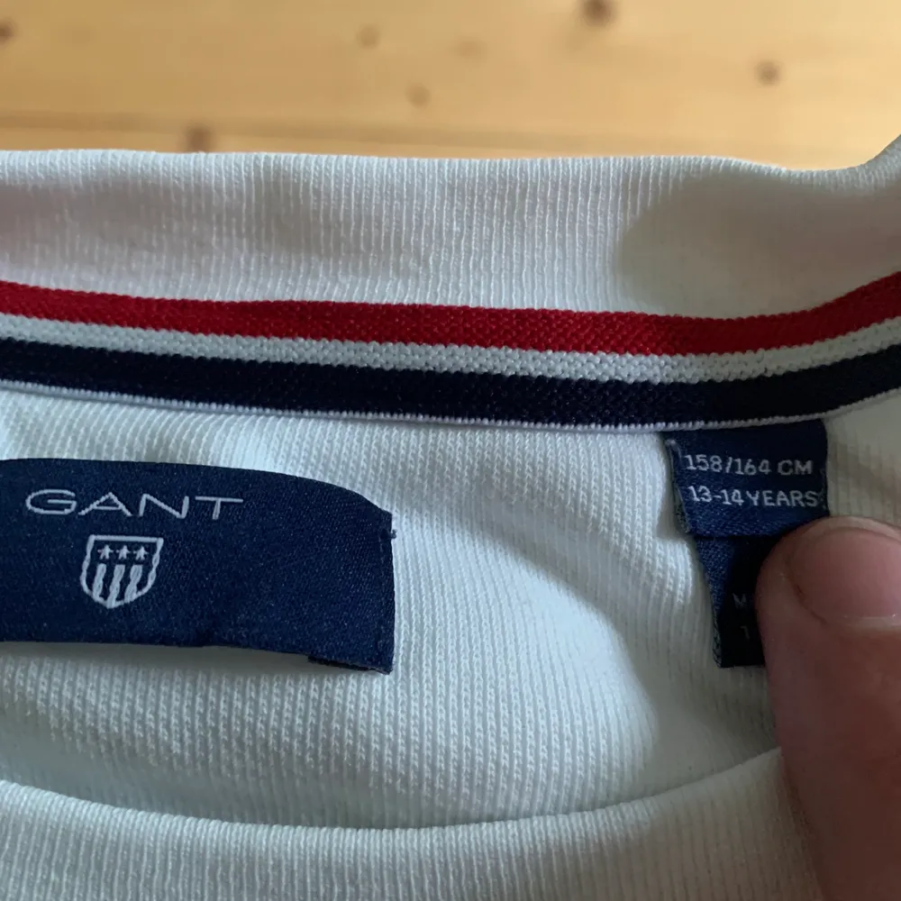 En gant sweatshirt i storlek 164. Är använd några gånger men mest legat i garderoben ( därför skrynklig ). köptes för 450kr och säljs för 149kr!. Tröjor & Koftor.