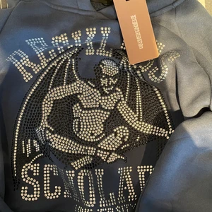 Reckless scholars hoodie - Storlek: S, säljer min reckless hoodie då den kom i fel storlek. Den är helt oanvänd och hoodien är slutsåld på hemsidan. Budgivningen avslutas på söndag och högsta bud ligger på 1600