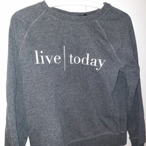 Hoddie - Säljer denna gråa ish hoodien. Jätte fin. Med tryck på bröstet. 