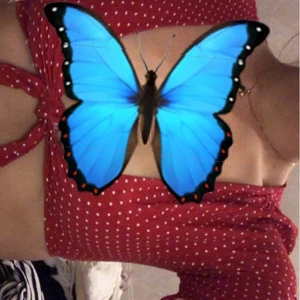 Pull&bear - Så söt knyttopp ifrån pull&bear, aldrig kommit till användning för den blev för liten för mig❤️❤️ skriv till mig privat för fler bilder🌸