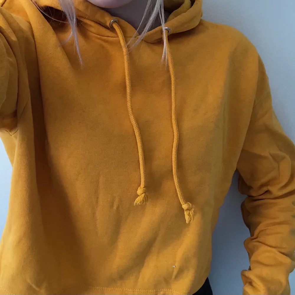 Senaps gul cropped hoodie med luva. Hoodies.