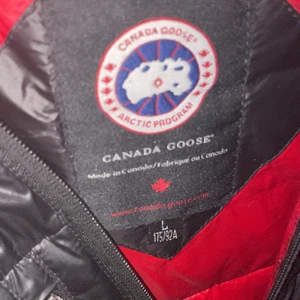 Canada goose jacka  - Jag säljer min canada goose jacka vår modell storlek l men passar m vill hälst byta mot en mooseknuckel